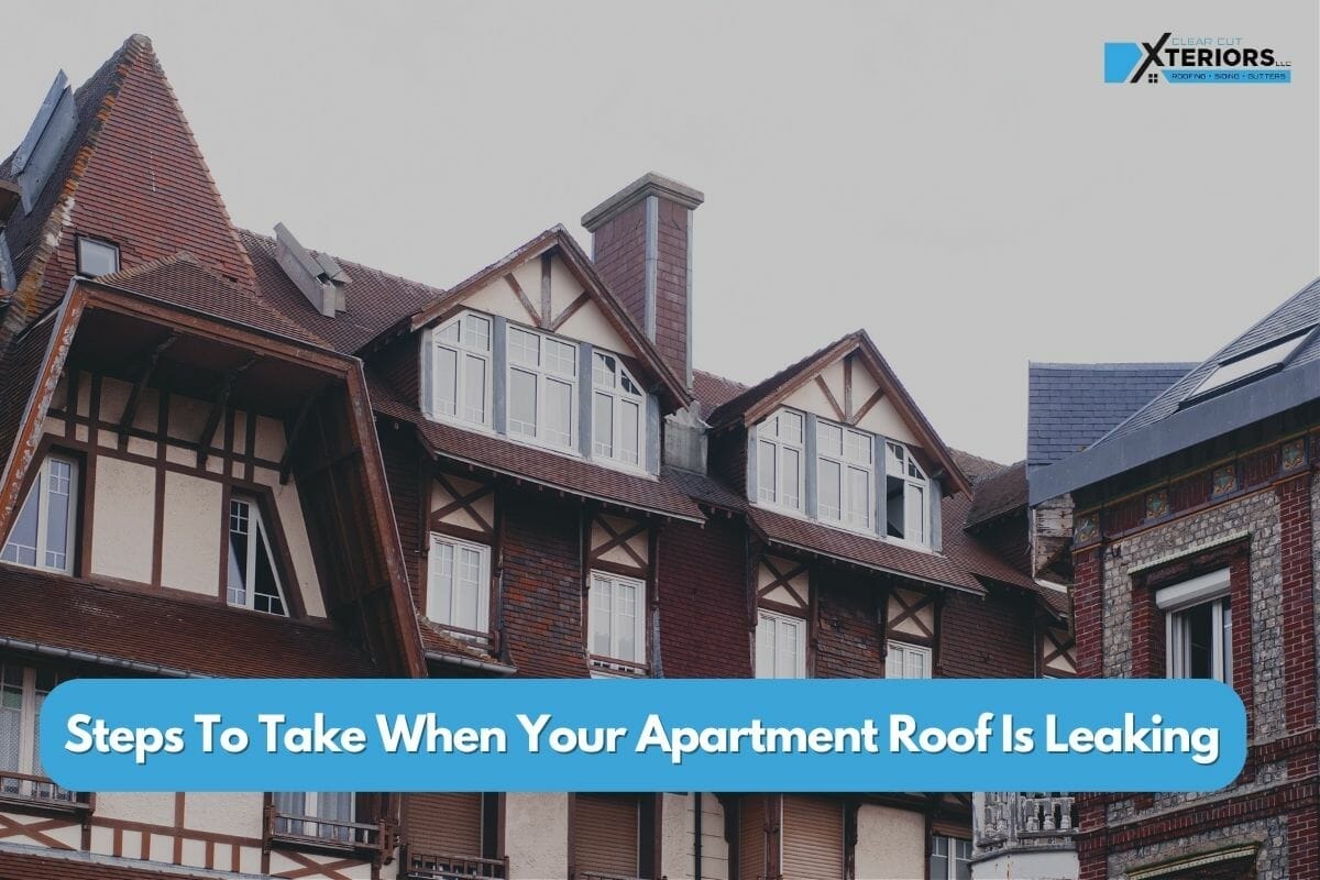 Apartment Roof Leaking? Don’t Panic! 5 Steps to Take for a Swift Resolution