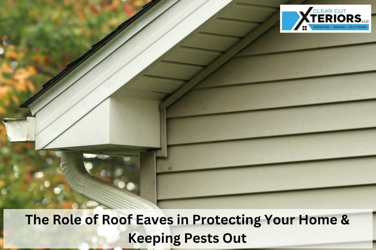 The Role of Roof Eaves in Protecting Your Home & Keeping Pests Out
